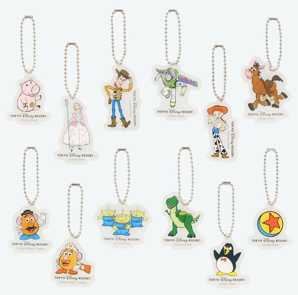 Pre-Order Tokyo Disney Resort 2024 Key Chain Set 12 PCS Toy Story