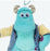 Pre-Order Tokyo Disney Resort 2024 Plush Charm Monsters University Sulley MU