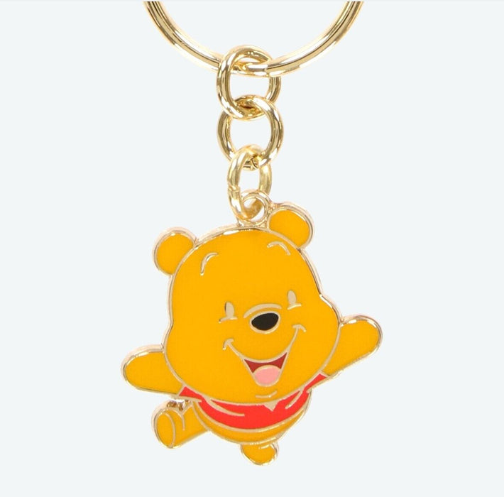 Pre-Order Tokyo Disney Resort Pair Key chain Set Pooh & Tigger TDR