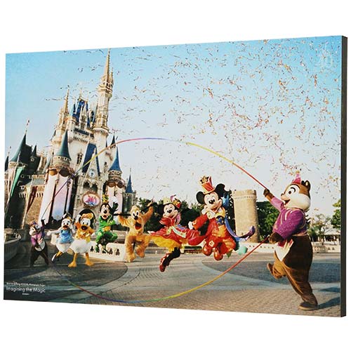 Pre-Order Tokyo Disney Resort 2024 TDR 40th Imagining The Magic Art Boad Panel