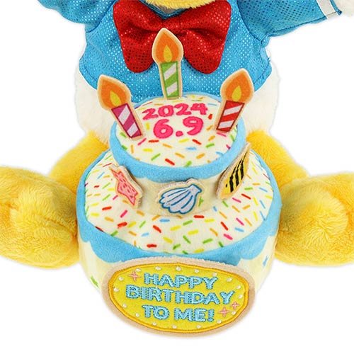 Pre-Order Tokyo Disney Resort 2024 Donald Happy Birthday Plush Donald