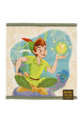 Pre-Order Tokyo Disney Resort 2024 TDS Fantasy Springs Peter Pan Mini Towel