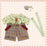 Pre-Order Tokyo Disney Duffy Heartfelt Strawberry Gift Costume Outfit Gelatoni
