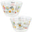 Pre-Order Tokyo Disney Resort 2023 TDR 40th Park Food Motif Acrylic Bowl